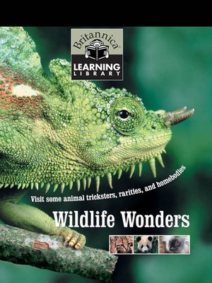 cover image of Wildlife Wonders